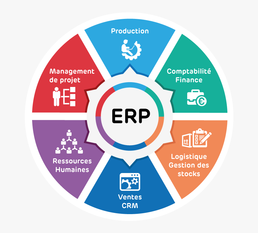 ERP (Hands On) SAP - 2025